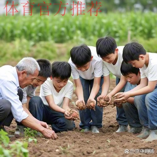 离收成很远的幼儿足球 仍在耕种